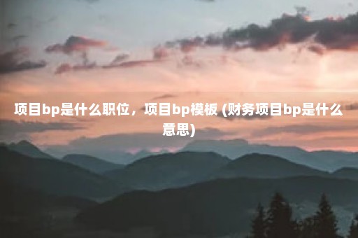 项目bp是什么职位，项目bp模板 (财务项目bp是什么意思)