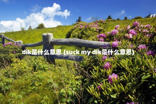 dik是什么意思 (suck my dik是什么意思)