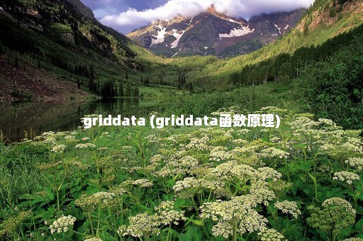 griddata (griddata函数原理)