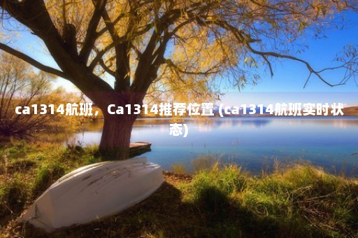 ca1314航班，Ca1314推荐位置 (ca1314航班实时状态)