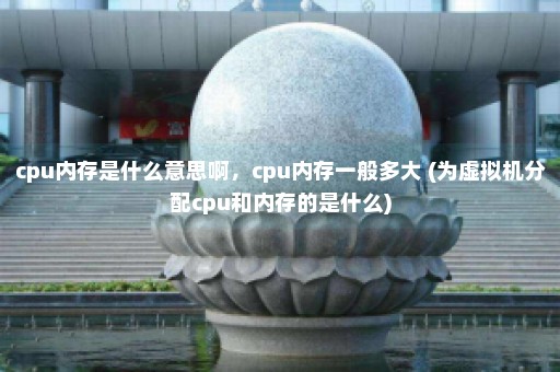 cpu内存是什么意思啊，cpu内存一般多大 (为虚拟机分配cpu和内存的是什么)