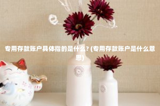 专用存款账户具体指的是什么? (专用存款账户是什么意思)