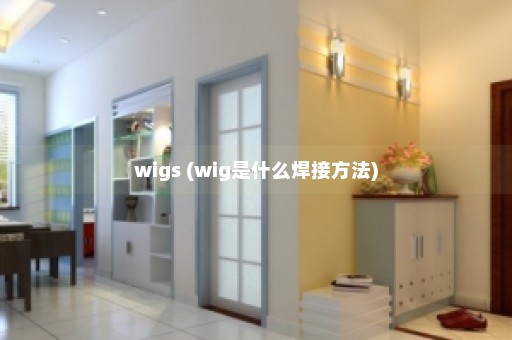 wigs (wig是什么焊接方法)