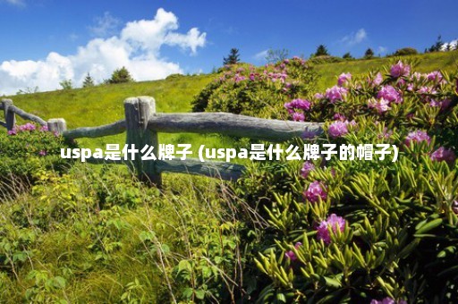 uspa是什么牌子 (uspa是什么牌子的帽子)