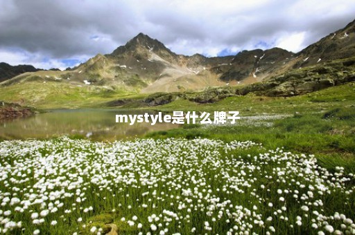 mystyle是什么牌子