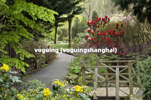 voguing (voguingshanghai)