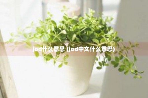 jod什么意思 (jod中文什么意思)