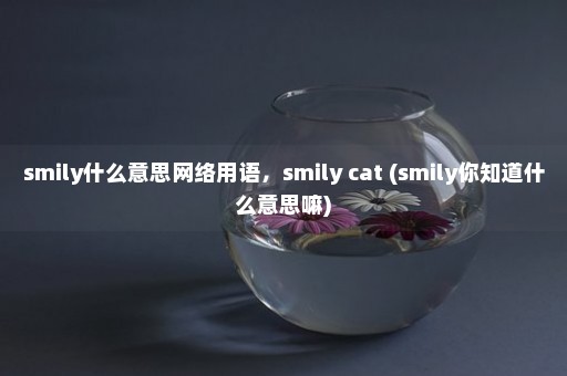 smily什么意思网络用语，smily cat (smily你知道什么意思嘛)