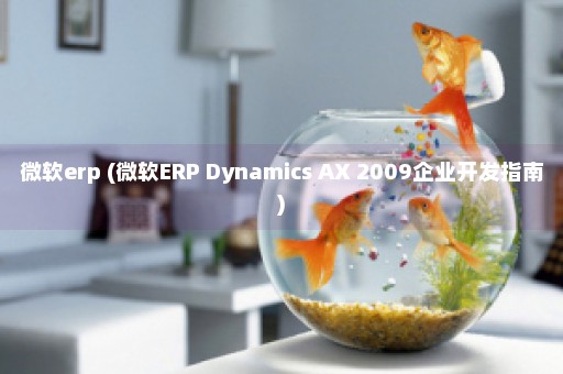 微软erp (微软ERP Dynamics AX 2009企业开发指南)