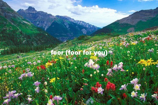 foor (foor for you)