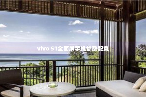 vivo S1全面屏手机参数配置