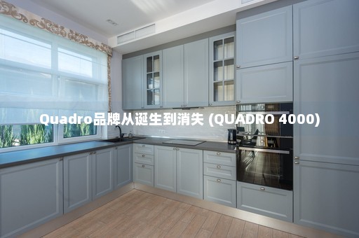 Quadro品牌从诞生到消失 (QUADRO 4000)