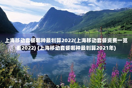 上海移动套餐哪种最划算2022(上海移动套餐资费一览表2022) (上海移动套餐哪种最划算2021年)