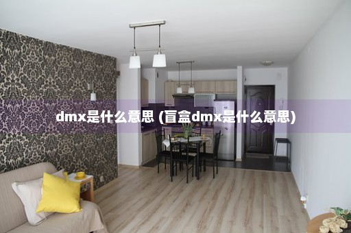 dmx是什么意思 (盲盒dmx是什么意思)