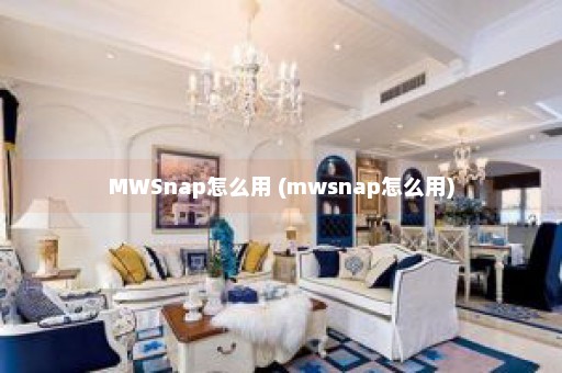 MWSnap怎么用 (mwsnap怎么用)