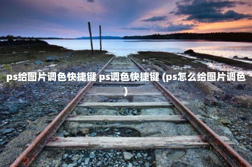 ps给图片调色快捷键 ps调色快捷键 (ps怎么给图片调色)