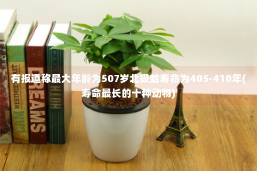 有报道称最大年龄为507岁北极蛤寿命为405-410年(寿命最长的十种动物)