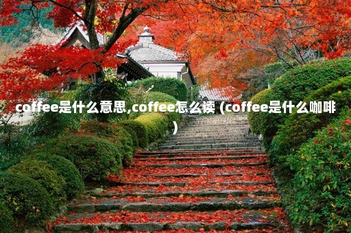 coffee是什么意思,coffee怎么读 (coffee是什么咖啡)