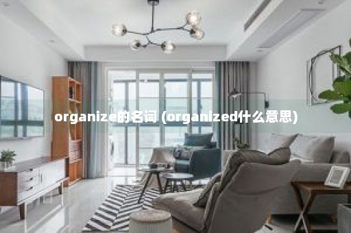 organize的名词 (organized什么意思)