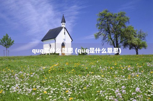 quq是什么意思 (quq是什么意思)