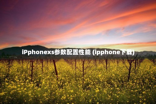 iPphonexs参数配置性能 (ipphone下载)