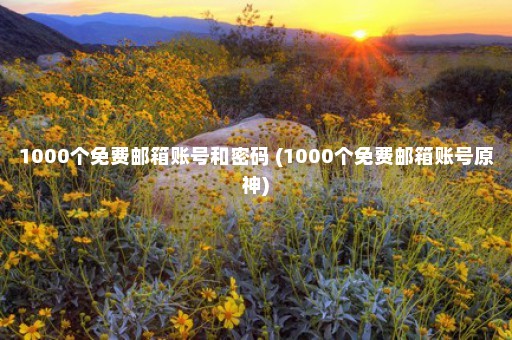 1000个免费邮箱账号和密码 (1000个免费邮箱账号原神)