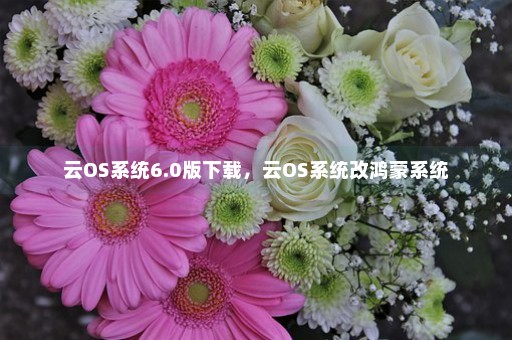 云OS系统6.0版下载，云OS系统改鸿蒙系统