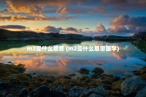 m2是什么意思 (m2是什么意思医学)