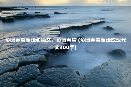 沁园春雪翻译和原文，沁园春雪 (沁园春雪翻译成现代文300字)