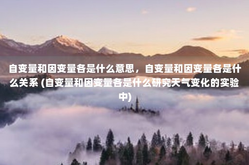 自变量和因变量各是什么意思，自变量和因变量各是什么关系 (自变量和因变量各是什么研究天气变化的实验中)