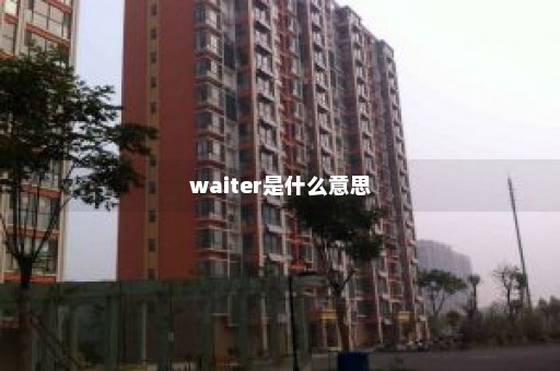 waiter是什么意思