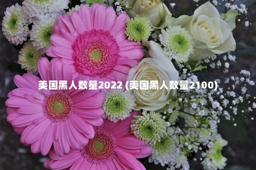 美国黑人数量2022 (美国黑人数量2100)