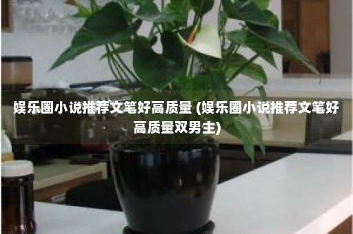 娱乐圈小说推荐文笔好高质量 (娱乐圈小说推荐文笔好高质量双男主)