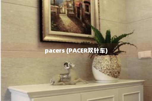 pacers (PACER双针车)