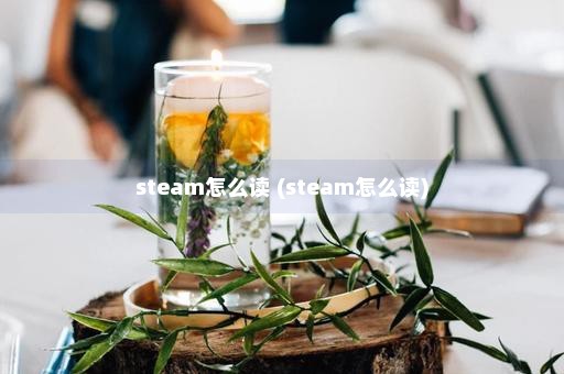 steam怎么读 (steam怎么读)