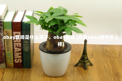 obay音响是什么牌子，obay音响 (丹麦obay音响怎么样)