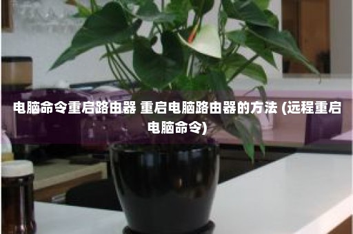 电脑命令重启路由器 重启电脑路由器的方法 (远程重启电脑命令)