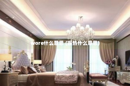 wore什么意思 (握热什么意思)