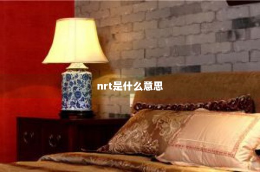 nrt是什么意思