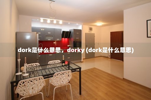 dork是什么意思，dorky (dork是什么意思)