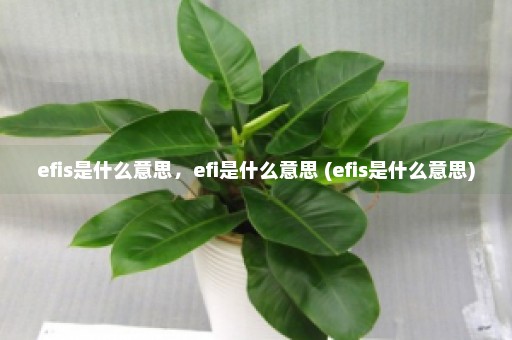 efis是什么意思，efi是什么意思 (efis是什么意思)