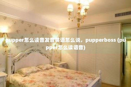 pupper怎么读音发音英语怎么说，pupperboss (pupper怎么读语音)