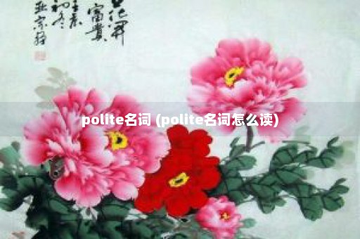 polite名词 (polite名词怎么读)