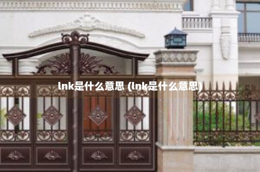 lnk是什么意思 (lnk是什么意思)