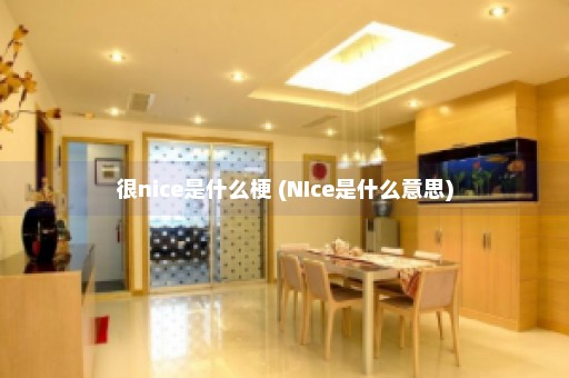 很nice是什么梗 (NIce是什么意思)