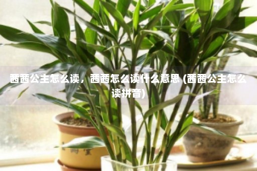 茜茜公主怎么读，茜茜怎么读什么意思 (茜茜公主怎么读拼音)