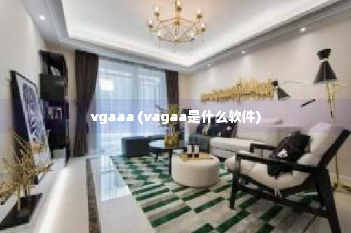 vgaaa (vagaa是什么软件)