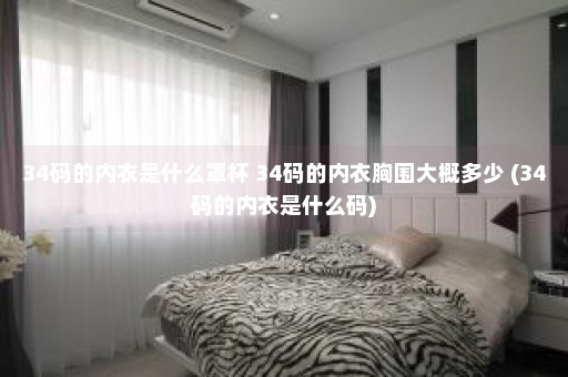 34码的内衣是什么罩杯 34码的内衣胸围大概多少 (34码的内衣是什么码)