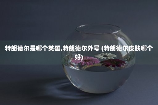 特朗德尔是哪个英雄,特朗德尔外号 (特朗德尔皮肤哪个好)