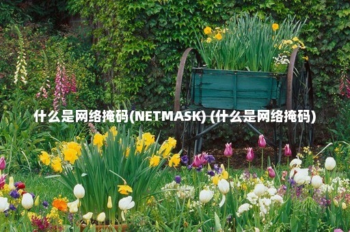 什么是网络掩码(NETMASK) (什么是网络掩码)